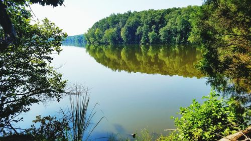 Reflection of trees in lake against sky