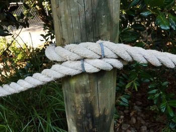 Close-up of rope tied on wooden post in field