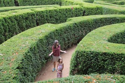 Mother standing with daughter amidst maze at park