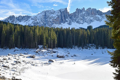 Idyllic shot of trees on snow covered landscape against mountains