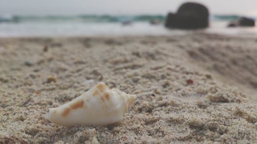 Surface level of sand on beach