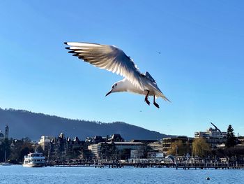 Seagulls flying over sea against sky