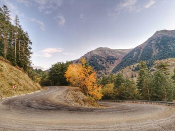 Road amidst trees against sky