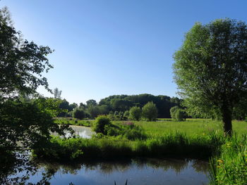 Scenic view of lake in forest against clear sky