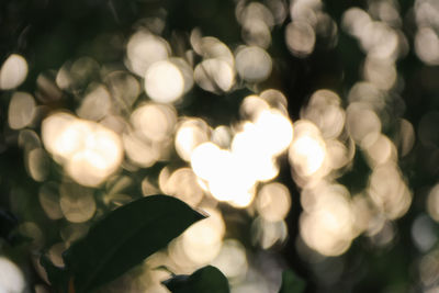 Defocused image of illuminated lights at night