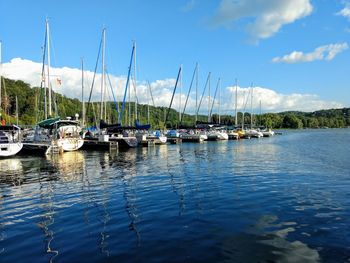 Sailboats moored in harbor