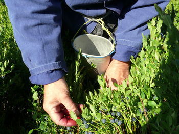 Midsection of person by plants on field