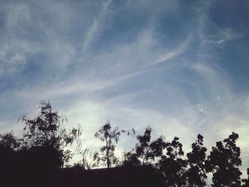 Low angle view of silhouette trees against sky