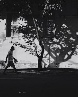 Silhouette boy playing on tree