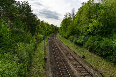 Railroad track amidst trees against sky