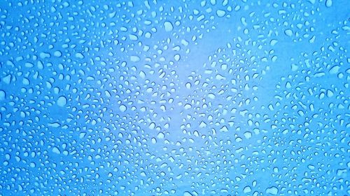 Close-up of water drops on black background