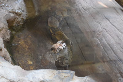 High angle view of water in rock