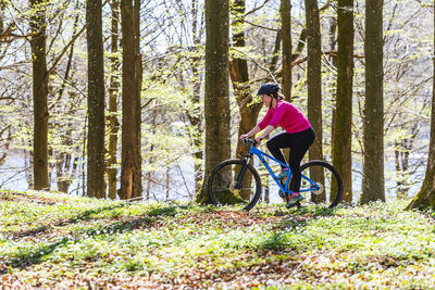 Cyclist in spring forest