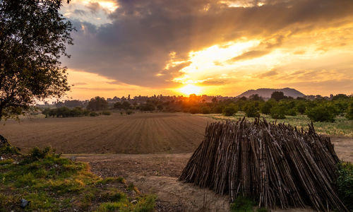 Scenic view of field against sky during sunset