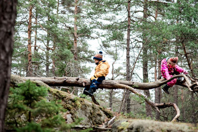 Brother and sister climbing trees together outside in winter