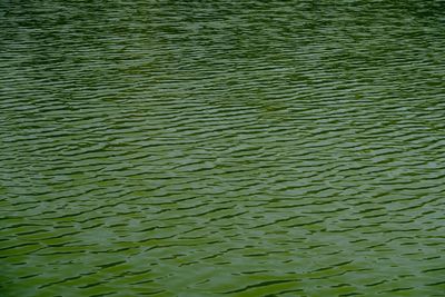 Full frame shot of rippled water