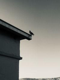 Low angle view of bird perching on building against sky