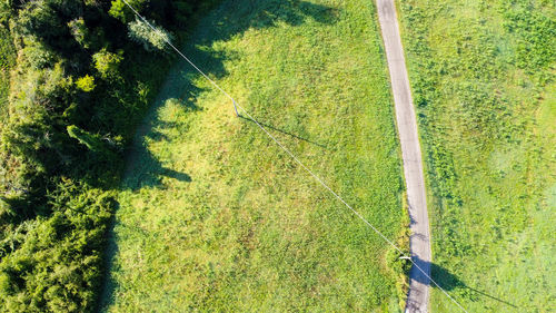 High angle view of trees growing on field