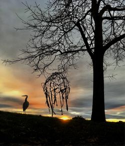 Silhouette bare tree against sky during sunset