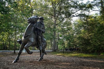 View of horse statue in park