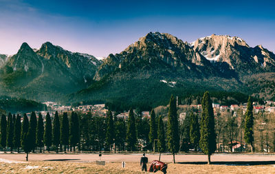 Trees and mountains against sky