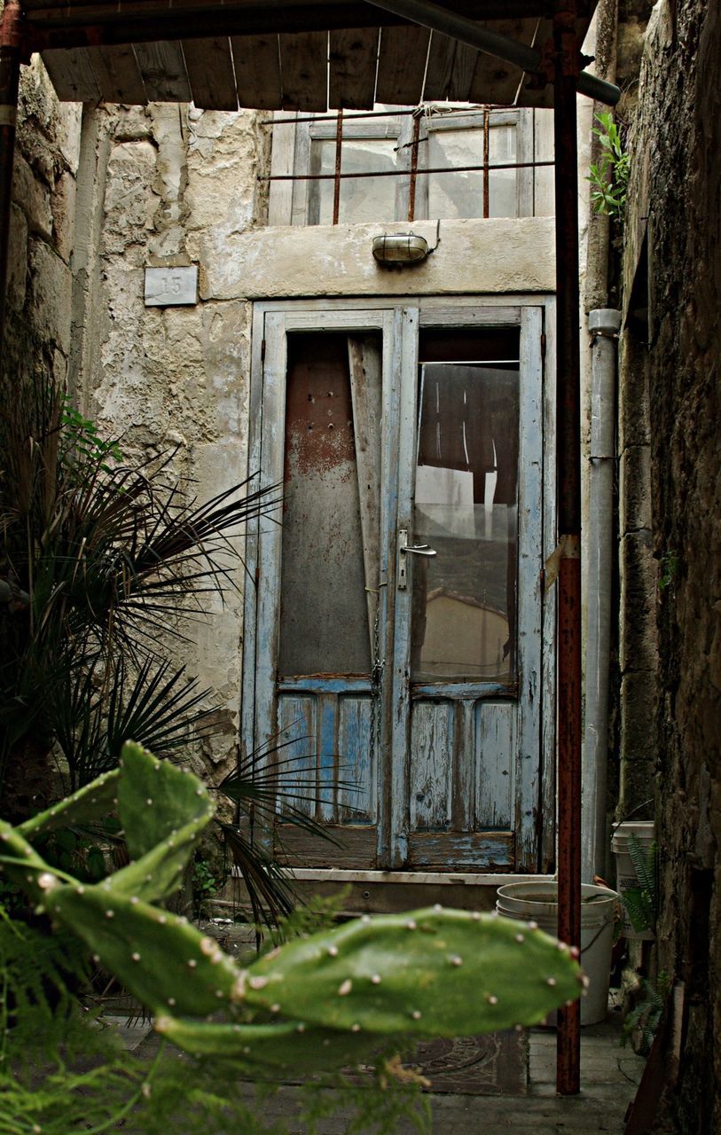 architecture, built structure, building exterior, house, plant, window, abandoned, residential structure, door, old, building, front or back yard, day, potted plant, steps, wall - building feature, residential building, green color, no people, outdoors