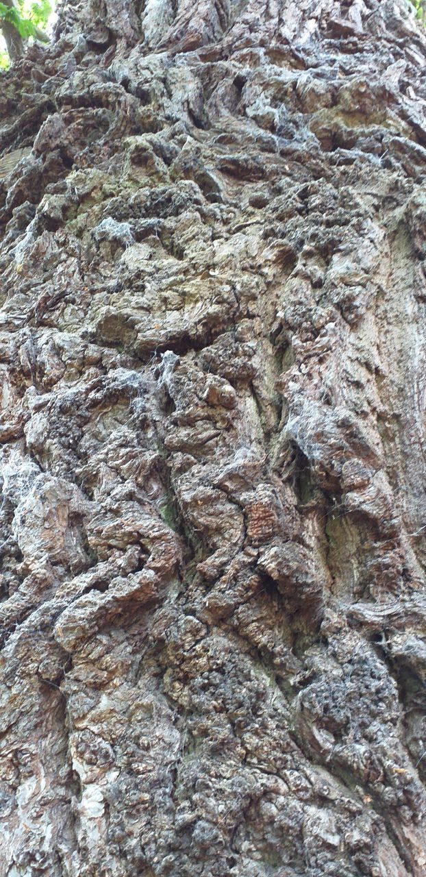 FULL FRAME SHOT OF ROCK FORMATION