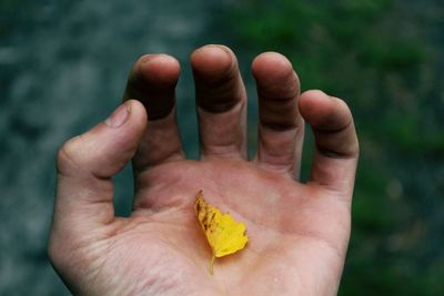 Close-up of human hand