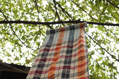 Low angle view of clothes hanging on tree
