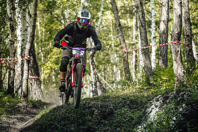 Rear view of man riding bicycle in forest