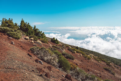 Scenic view of landscape against sky