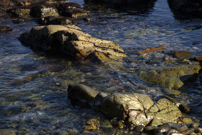 High angle view of river flowing through rocks
