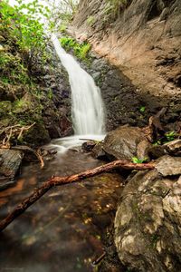 Scenic view of waterfall in forest