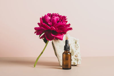 Close-up of pink flower on table against white background