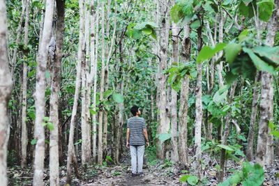Woman standing in forest