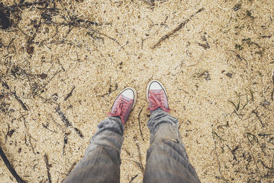 Low section of person standing on field