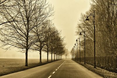 Empty road along trees