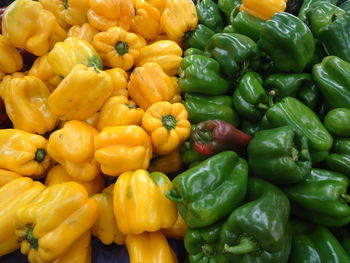 Full frame shot of bell peppers for sale at market stall