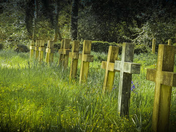 Wooden posts on field