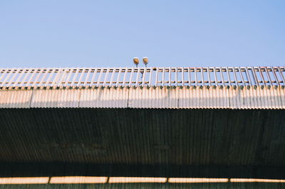 Low angle view of bird perching on roof against sky