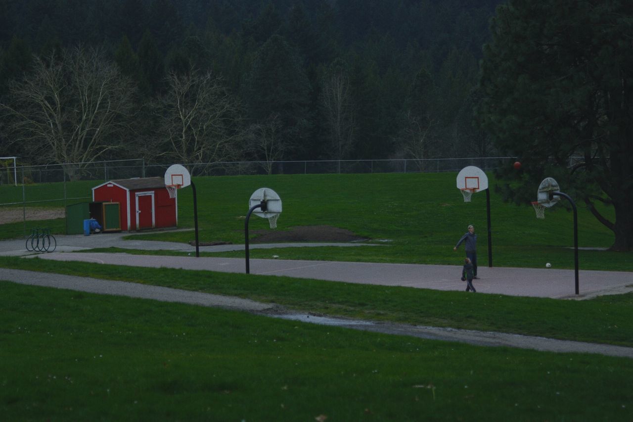 grass, tree, sport, green color, park - man made space, grassy, lawn, field, road, park, empty, playground, absence, childhood, outdoors, transportation, street, day, grassland, nature