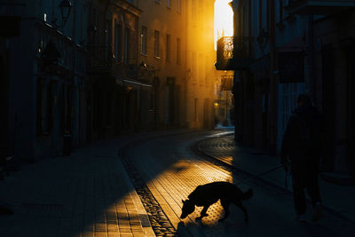 People walking on street in city during sunset