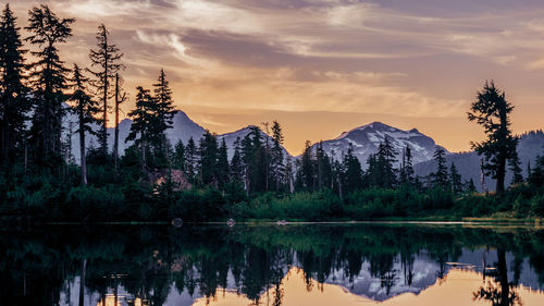 Reflection of trees in lake against sky during sunset