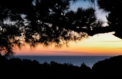 Silhouette trees by sea against orange sky