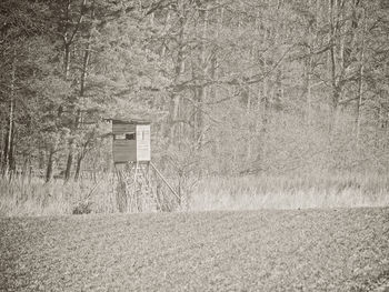 Old ruin on field in forest