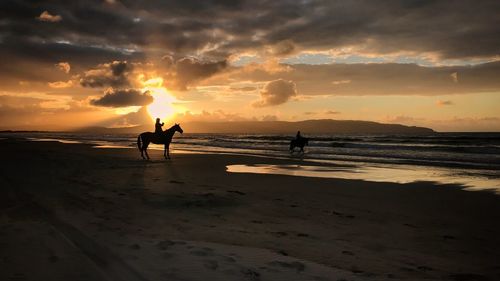 Silhouette people horseback riding on beach against sky during sunset
