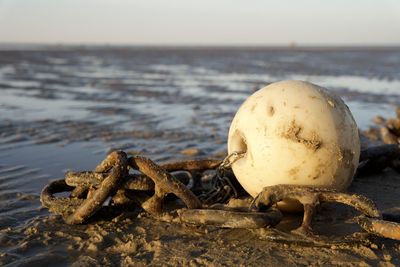 Close-up of abandoned driftwood on beach