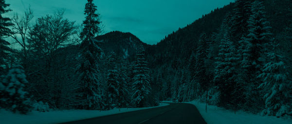 Road amidst trees in forest during winter