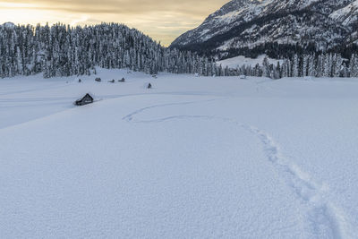 Scenic view of snow covered field