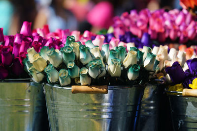 Close-up of flowers in buckets